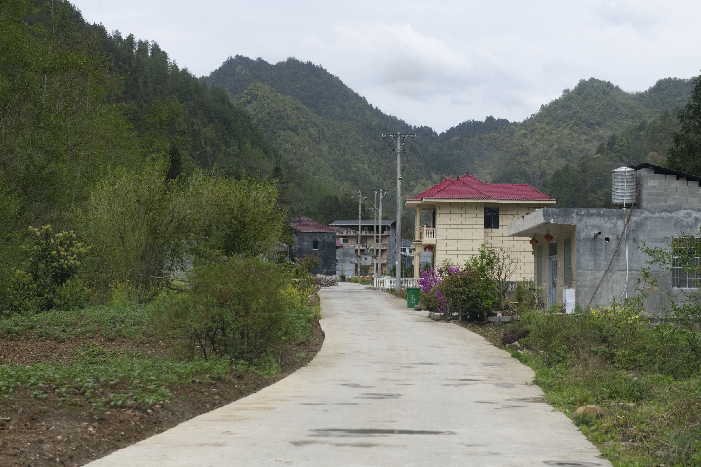 整洁的村容村貌